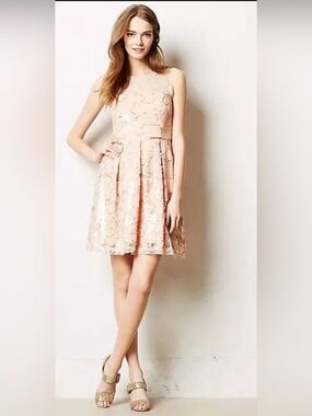 EvaFranco by Anthropologie Sleeveless Lace Fit-and-Flare Dress in Blush Pink